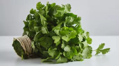 garnishing-instructions-image